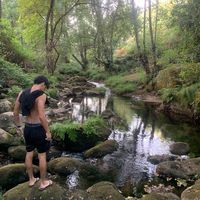 afonso.vcorreia