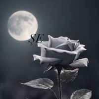 aysegull._06