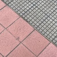 canciones_de_todo.20