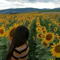 daria_dede_2024