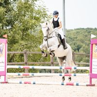 carlie1.05