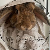 mybunnywinston