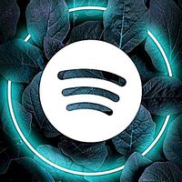 spotify_song2k24ll