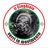 il.cinghiale