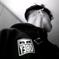 sarlinho_