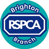 rspcabrighton