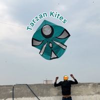 tarzan.kites7