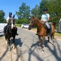 merle.lisa.privat