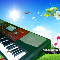 TikTok Account - https://p16-pu-ie.tiktokcdn-eu.com/tos-useast2a-avt-0068-euttp/9e2f68be4bf0e9cc02379b65cb5e3620~tplv-tiktokx-cropcenter:200:200.jpeg