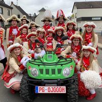 prinzengarde.wehr