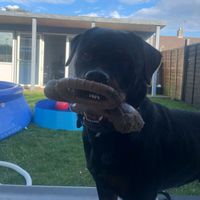 marleymoo_therottie