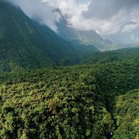 TikTok Account - https://p16-pu-ie.tiktokcdn-eu.com/tos-useast2a-avt-0068-euttp/a314b13d79450b04ff8b0f9797b63d60~tplv-tiktokx-cropcenter:200:200.jpeg