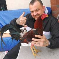 gallera_losjimenez