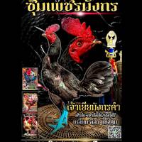 user8883660804971