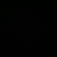 daphne_bnn