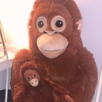 monkeart1
