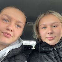 ingisborgis