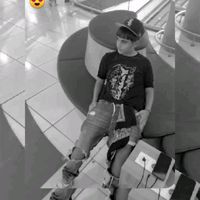 koala_6.0