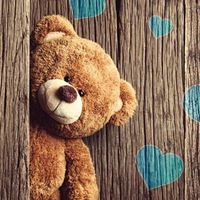 .little_bear