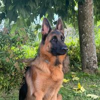 urko_clos_de_la_chanson