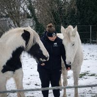 sisiandelitethehorses