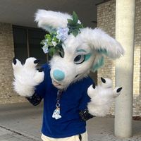 taxthearticfox