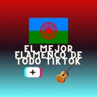 flamenc0.78