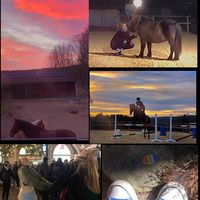 floris.ponies.b_g