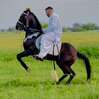 zain.ch.official