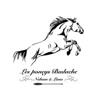 lesponeysbadache