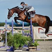 equestrian.sophe