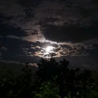 TikTok Account - https://p16-pu-ie.tiktokcdn-eu.com/tos-useast2a-avt-0068-euttp/ab5742be5df8307791037bcb89ce5bdd~tplv-tiktokx-cropcenter:200:200.jpeg