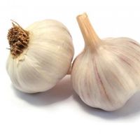 garlic_001
