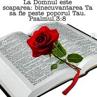 floareaderla