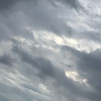 video_stati_official4