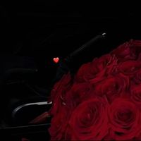 manele_228