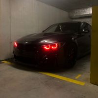 tigas_spots
