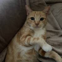 101catss_