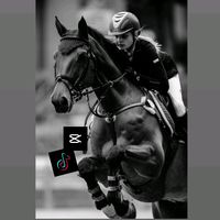 horse_edit_40