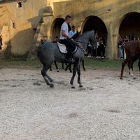 salvatorepinna7