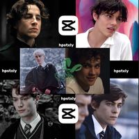 hpstxly
