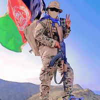 saidmurad1212gmail.com