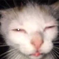 matiii_jsjsjsjsjsj