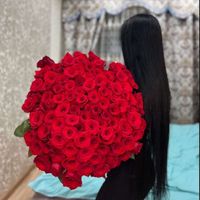 shyy_xll