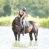 louise_lbx