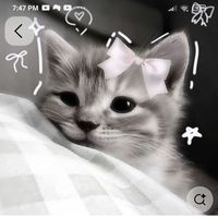 straykidsstorys1