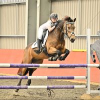 showjump.my.ponies