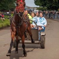 gracie_rose164_horses