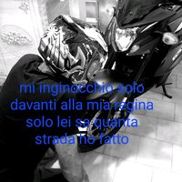 alessandro_damore34