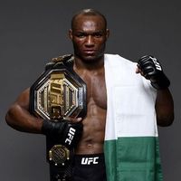 ufcinsider1